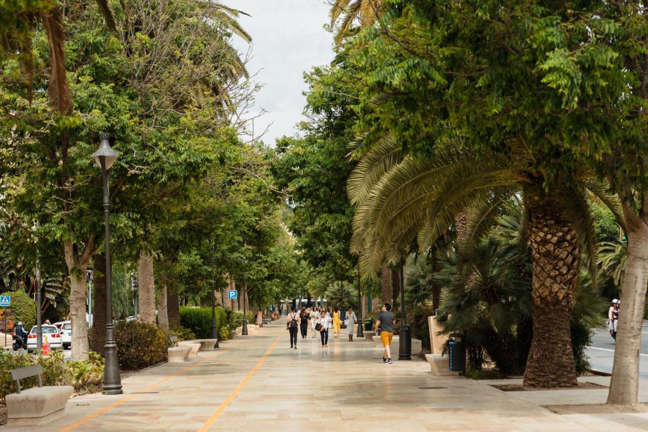 In The Historic Center Of Malaga, Very Close To The Beach And The Ave Train Station, With Private Parking Exteriér fotografie